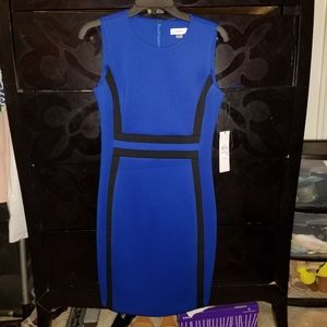 Calvin Klein Womens Dress